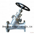 Stainless Steel Y Type Flanged Globe Valve